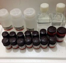 SOB固體培養(yǎng)基粉劑