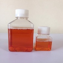 標(biāo)準(zhǔn)豚鼠血清（無菌過濾、熱滅活）