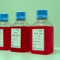 標準新生牛血清（無菌過濾）